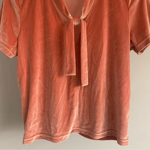 • [Madewell] Velvet Tie Neck Top • - Picture 4 of 10